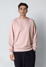 Clean Cut Copenhagen STABLE SWEATSHIRT Sweatshirts Violet ice