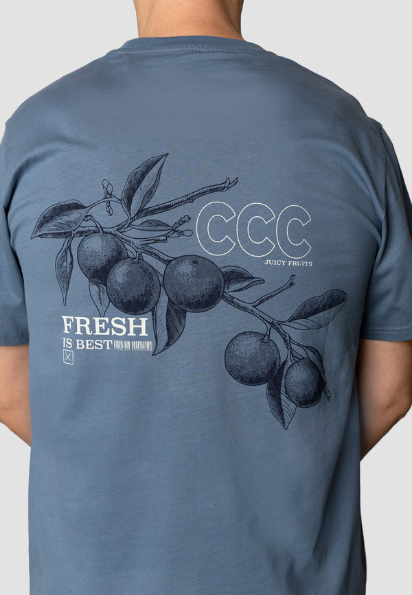 Clean Cut Copenhagen Fresh! t-shirt T-shirts S/S Støvet Blå